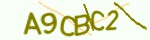 Mã bảo mật